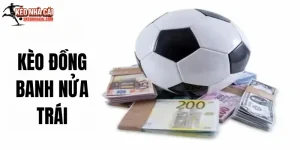 Kèo Đồng Banh Nửa Trái - Khám Phá Chiến Thuật Cược Hiệu Quả