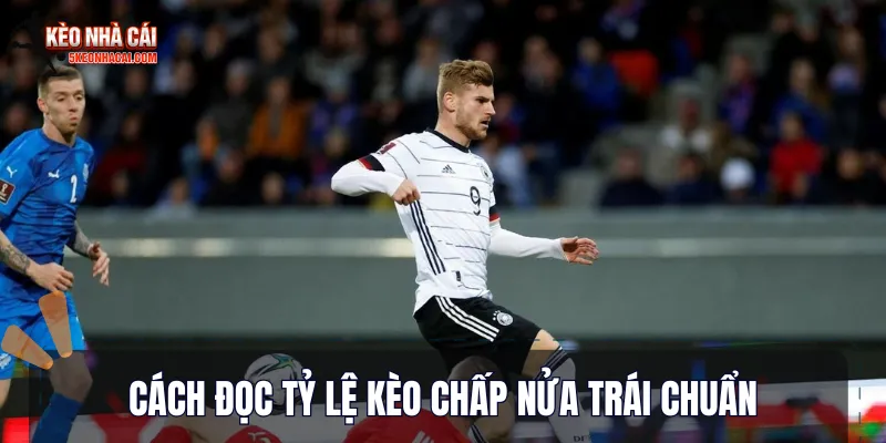 Cách đọc tỷ lệ kèo chấp nửa trái chuẩn