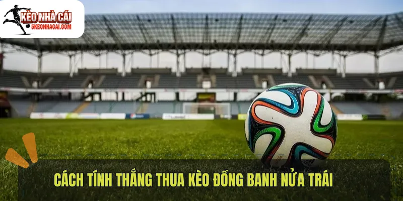 Cách tính thắng thua kèo đồng banh nửa trái